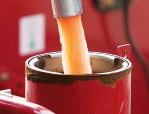 Some good news for arborists